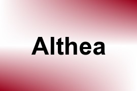 Althea name image