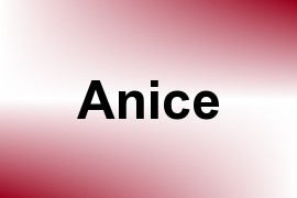 Anice name image