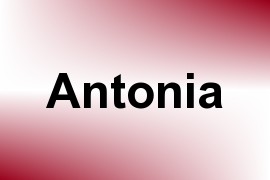 Antonia name image