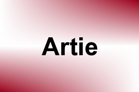 Artie name image