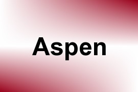 Aspen name image