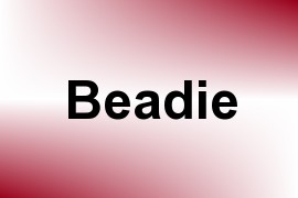 Beadie name image