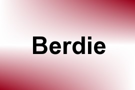 Berdie name image