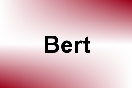 Bert name image