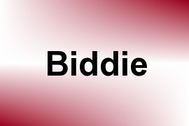 Biddie name image