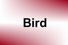 Bird name image