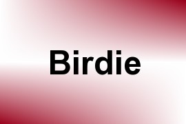 Birdie name image