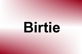 Birtie name image