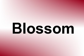 Blossom name image