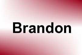 Brandon name image