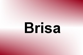 Brisa name image