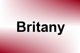 Britany name image