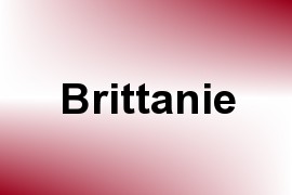 Brittanie name image