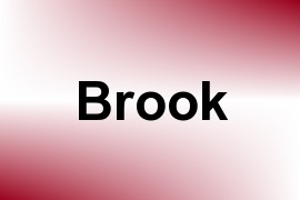 Brook name image