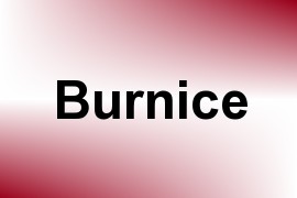 Burnice name image