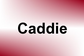 Caddie name image