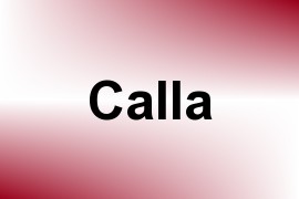 Calla name image