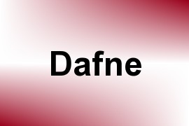 Dafne name image