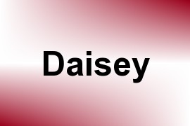 Daisey name image