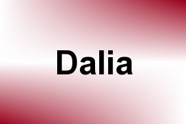 Dalia name image