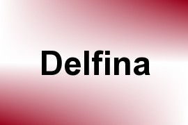 Delfina name image