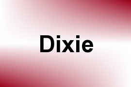 Dixie name image