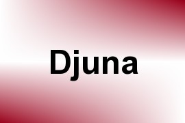 Djuna name image