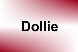 Dollie name image