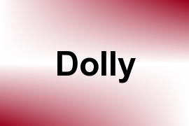 Dolly name image