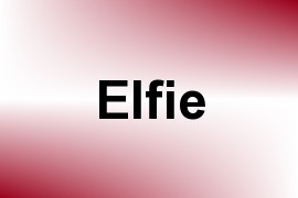 Elfie name image