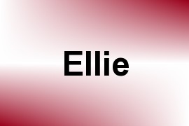 Ellie name image