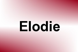 Elodie name image