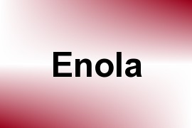 Enola name image