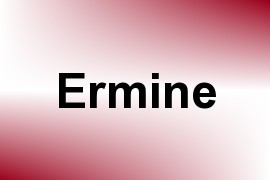 Ermine name image