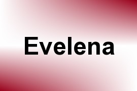 Evelena name image