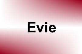 Evie name image