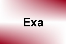 Exa name image