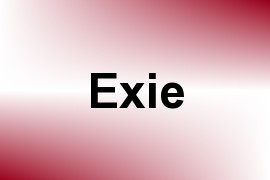 Exie name image