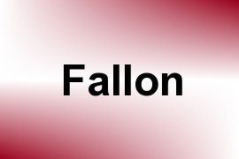 Fallon name image