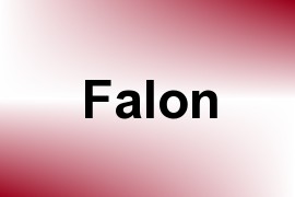 Falon name image