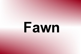 Fawn name image