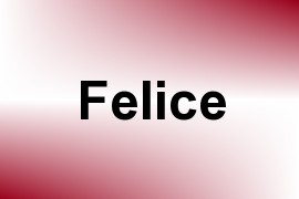 Felice name image