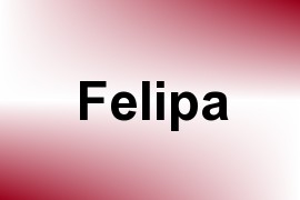 Felipa name image