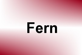 Fern name image