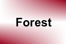 Forest name image