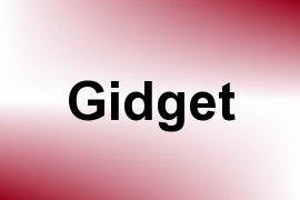 Gidget name image