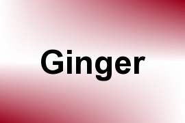 Ginger name image