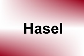 Hasel name image