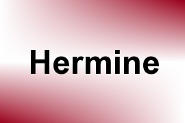 Hermine name image