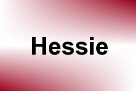 Hessie name image